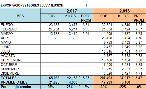 Exportación Lluvia Ilusión Perú por meses